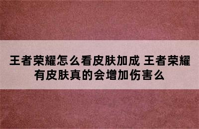 王者荣耀怎么看皮肤加成 王者荣耀有皮肤真的会增加伤害么